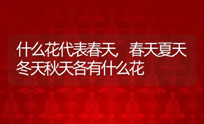 什么花代表春天,春天夏天冬天秋天各有什么花 | 养殖学堂