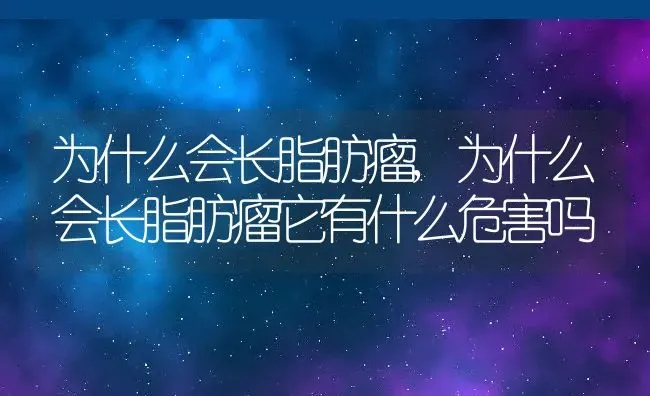 为什么会长脂肪瘤,为什么会长脂肪瘤它有什么危害吗 | 养殖资料