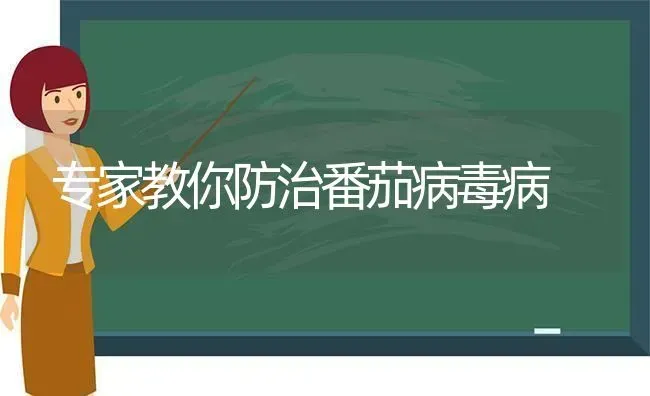 专家教你防治番茄病毒病 | 养殖知识