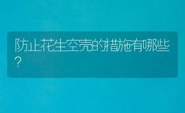 防止花生空壳的措施有哪些? | 养殖技术大全