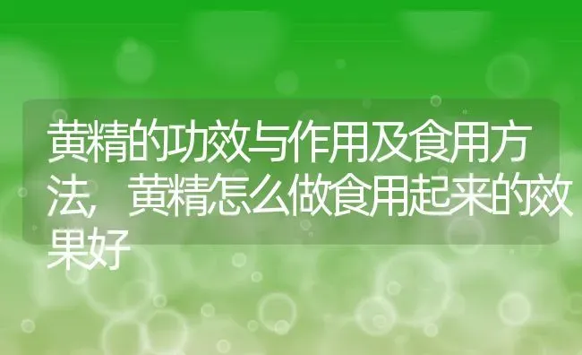 黄精的功效与作用及食用方法,黄精怎么做食用起来的效果好 | 养殖科普