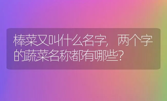 大白菜是生吃好还是熟吃好,白菜可以生吃吗? | 养殖科普