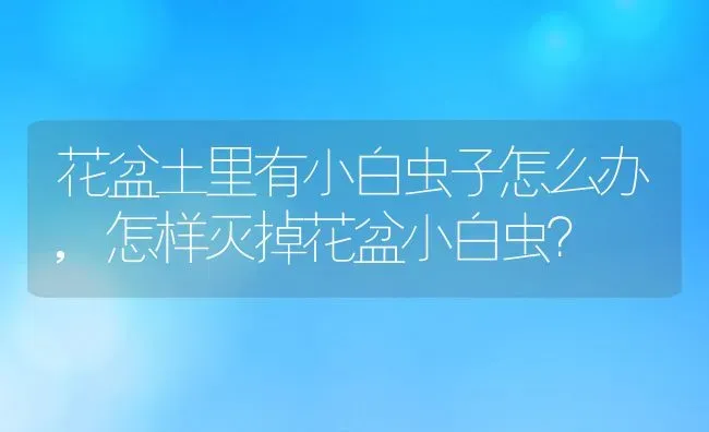 花盆土里有小白虫子怎么办,怎样灭掉花盆小白虫？ | 养殖科普