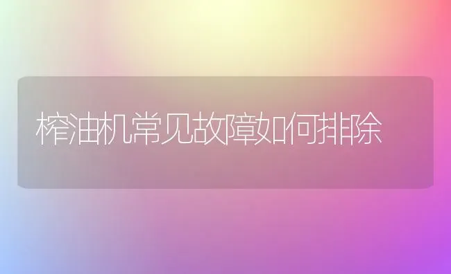 榨油机常见故障如何排除 | 养殖技术大全