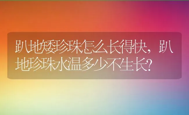 趴地矮珍珠怎么长得快,趴地珍珠水温多少不生长？ | 养殖科普