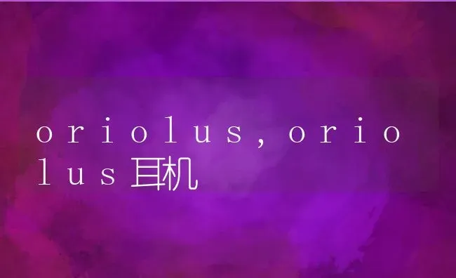 oriolus,oriolus耳机 | 养殖科普