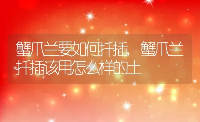 蟹爪兰要如何扦插,蟹爪兰扦插该用怎么样的土 | 养殖学堂