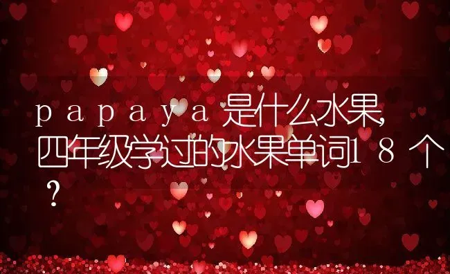 papaya是什么水果,四年级学过的水果单词18个？ | 养殖科普