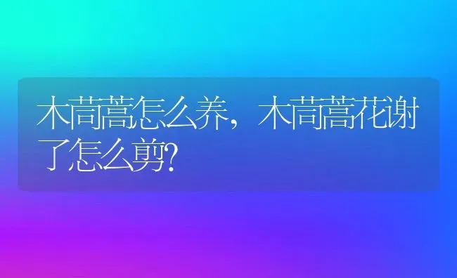 木茼蒿怎么养,木茼蒿花谢了怎么剪？ | 养殖科普