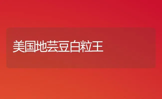 美国地芸豆白粒王 | 养殖技术大全