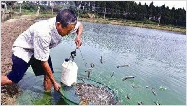 草虾怎么养殖 | 农广天地