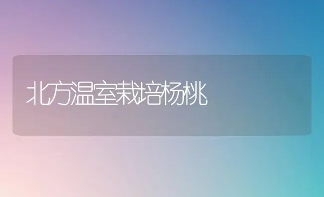 北方温室栽培杨桃 | 养殖知识