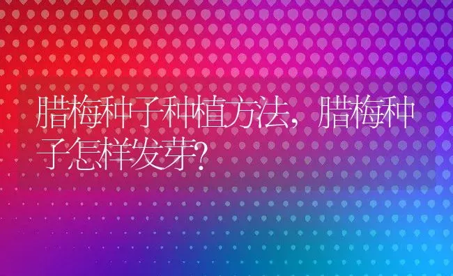 腊梅种子种植方法,腊梅种子怎样发芽？ | 养殖科普