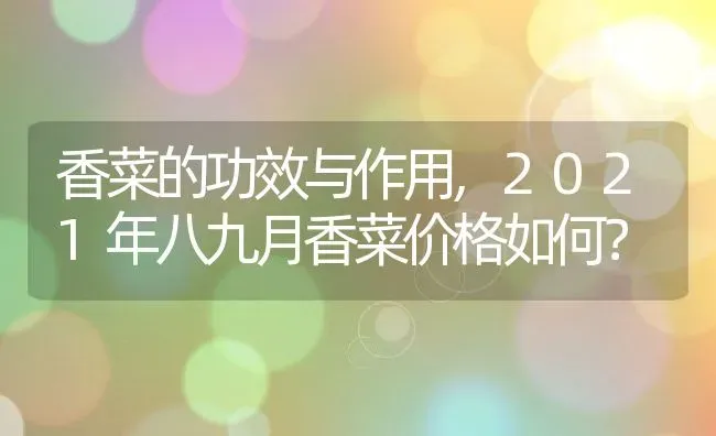 香菜的功效与作用,2021年八九月香菜价格如何？ | 养殖科普