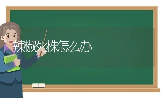 辣椒死株怎么办 | 养殖技术大全