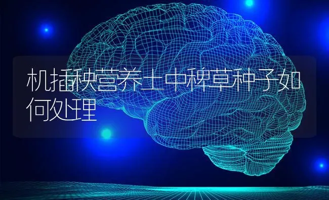 机插秧营养土中稗草种子如何处理 | 养殖知识