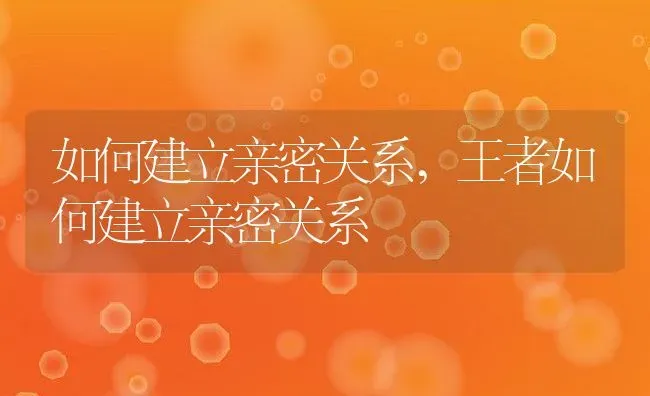 如何建立亲密关系,王者如何建立亲密关系 | 养殖科普