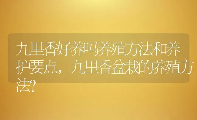 九里香好养吗养殖方法和养护要点,九里香盆栽的养殖方法？ | 养殖科普