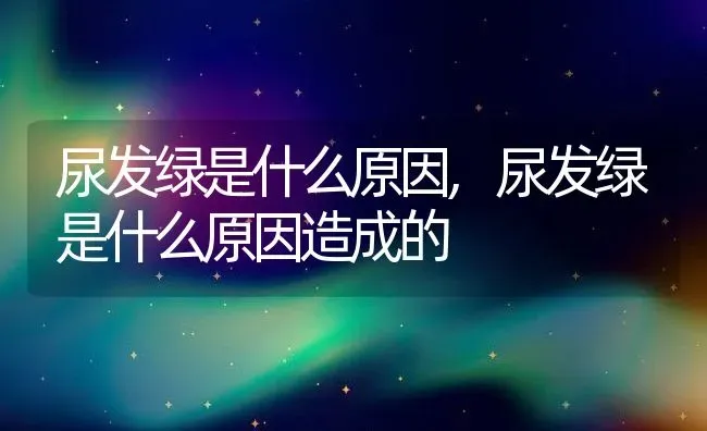 尿发绿是什么原因,尿发绿是什么原因造成的 | 养殖科普