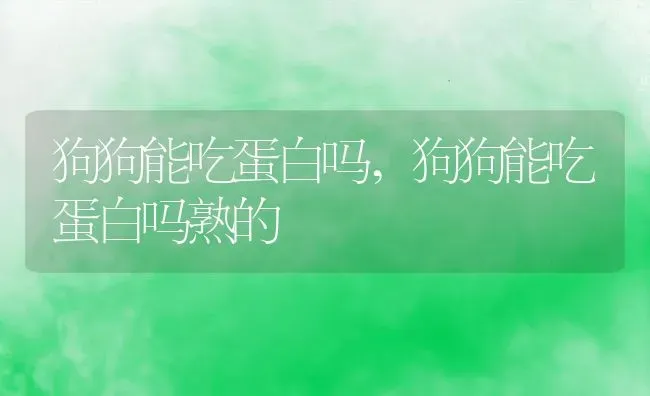 狗狗能吃蛋白吗,狗狗能吃蛋白吗熟的 | 养殖资料