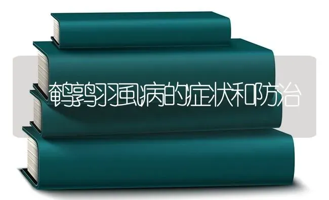 鹌鹑羽虱病的症状和防治 | 养殖技术大全