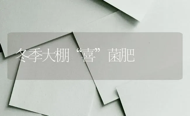 冬季大棚“喜”菌肥 | 养殖知识