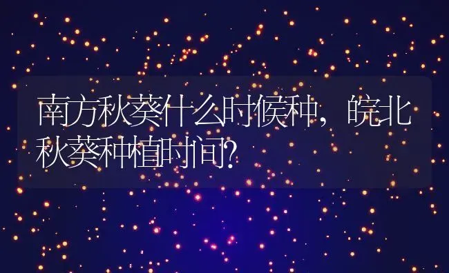 南方秋葵什么时候种,皖北秋葵种植时间？ | 养殖科普