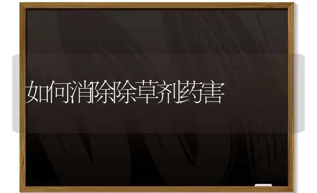 如何消除除草剂药害 | 养殖技术大全