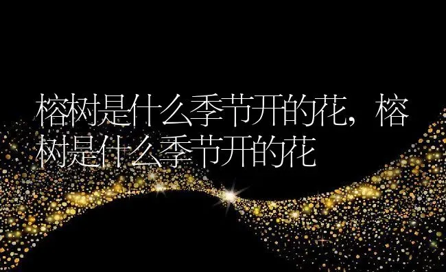榕树是什么季节开的花,榕树是什么季节开的花 | 养殖科普