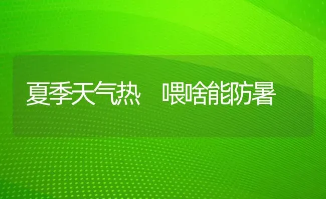 夏季天气热 喂啥能防暑 | 养殖知识