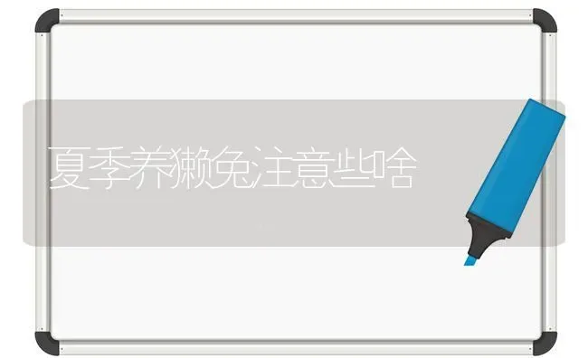 台风过后柑橘的补救措施 | 养殖技术大全