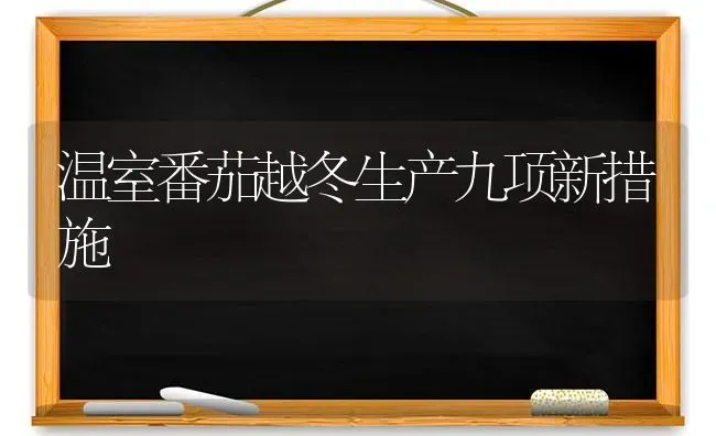 温室番茄越冬生产九项新措施 | 养殖技术大全