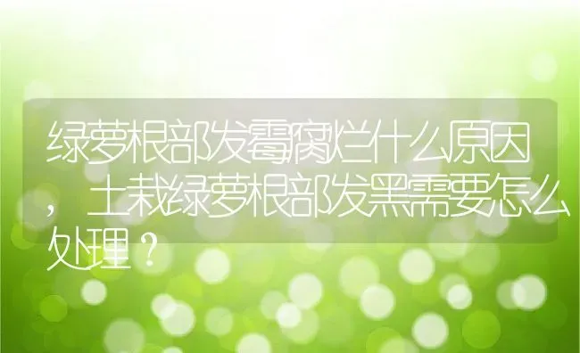 燕鱼繁殖正确方法 | 养殖科普