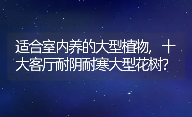 适合室内养的大型植物,十大客厅耐阴耐寒大型花树？ | 养殖科普