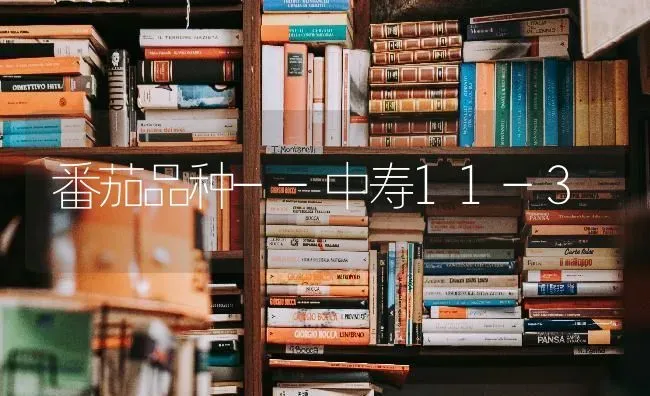 番茄品种--中寿11-3 | 养殖知识