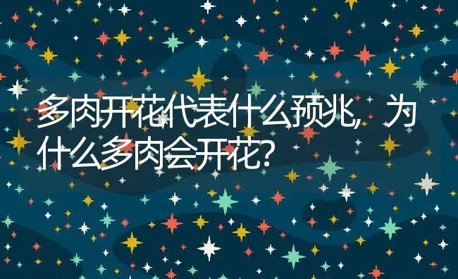 多肉开花代表什么预兆,为什么多肉会开花？ | 养殖科普