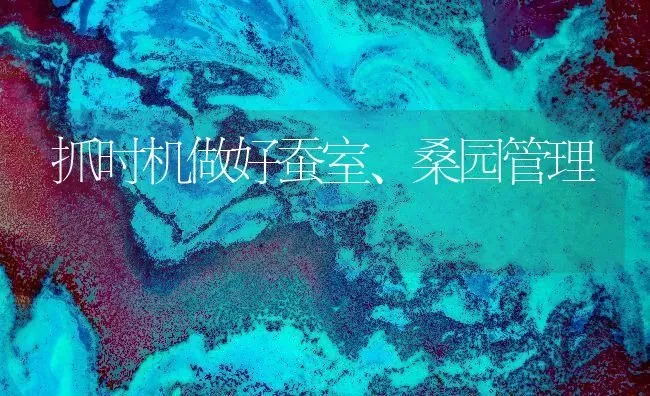 抓时机做好蚕室、桑园管理 | 养殖知识