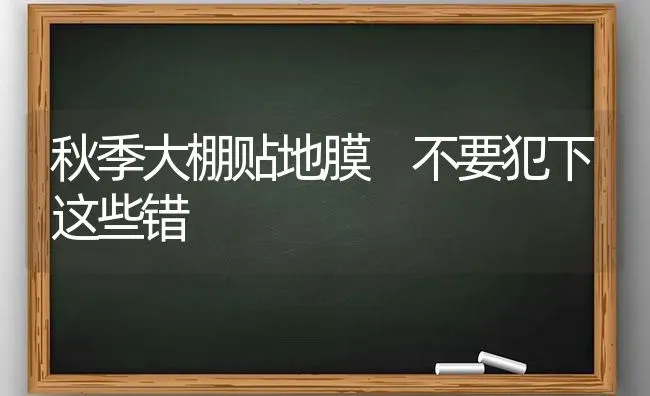 秋季大棚贴地膜 不要犯下这些错 | 养殖技术大全