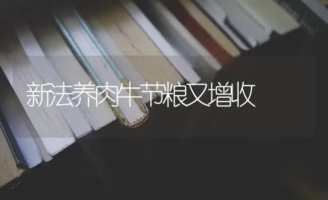新法养肉牛节粮又增收 | 养殖知识