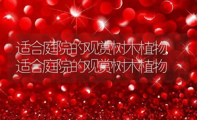 适合庭院的观赏树木植物,适合庭院的观赏树木植物 | 养殖学堂