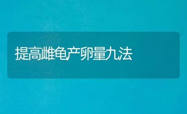 提高雌龟产卵量九法 | 养殖技术大全