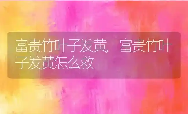 富贵竹叶子发黄,富贵竹叶子发黄怎么救 | 养殖科普