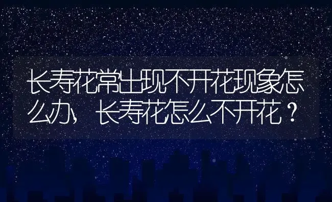 长寿花常出现不开花现象怎么办,长寿花怎么不开花？ | 养殖科普