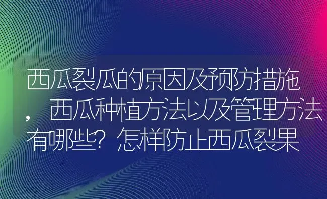 西瓜裂瓜的原因及预防措施,西瓜种植方法以及管理方法有哪些？怎样防止西瓜裂果 | 养殖学堂