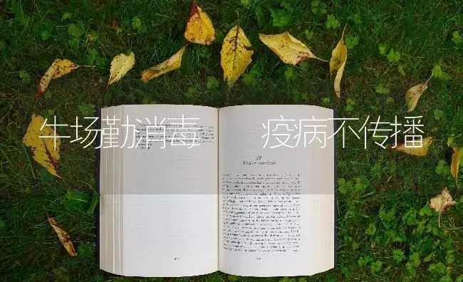 牛场勤消毒  疫病不传播 | 养殖技术大全
