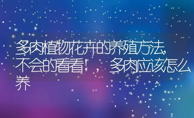 多肉植物花卉的养殖方法,不会的看看!,多肉应该怎么养 | 养殖学堂