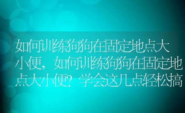 如何训练狗狗在固定地点大小便,如何训练狗狗在固定地点大小便?学会这几点轻松搞定 | 养殖科普