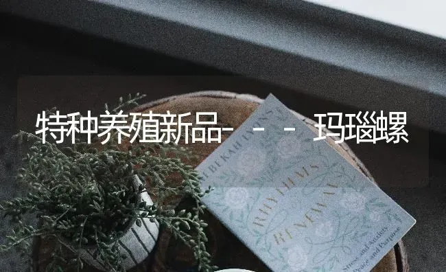 特种养殖新品---玛瑙螺 | 养殖技术大全