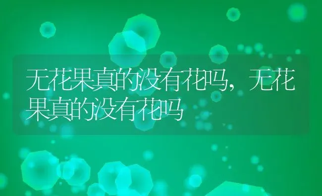 无花果真的没有花吗,无花果真的没有花吗 | 养殖科普