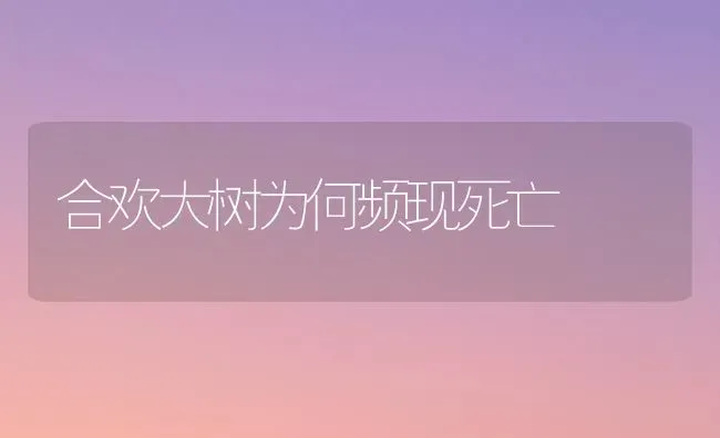 合欢大树为何频现死亡 | 养殖技术大全
